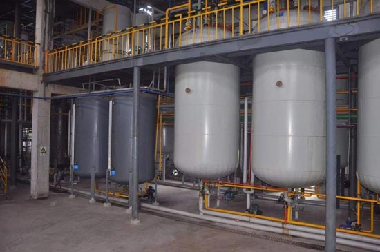 DHA-refining-machine.jpg