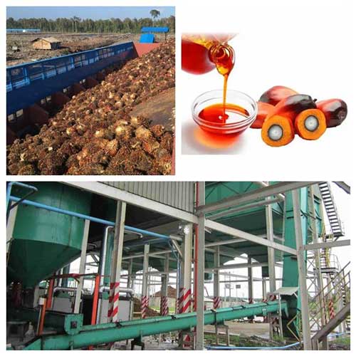 ¿Qué es la línea de producción de aceite de palma?