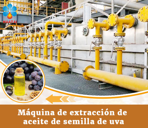 Máquina de extracción de aceite de semilla de uva