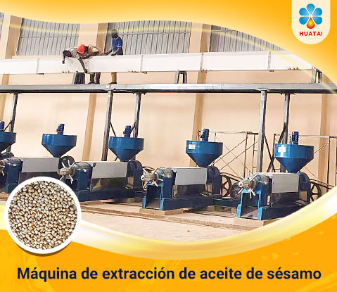Máquina de extracción de aceite de sésamo